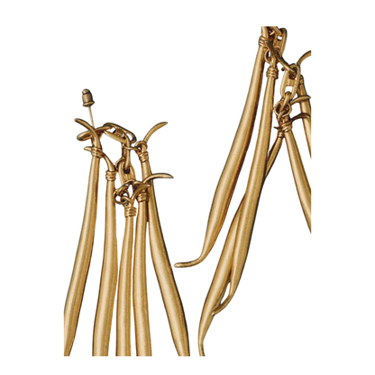 Bijoux Golden - Image 2