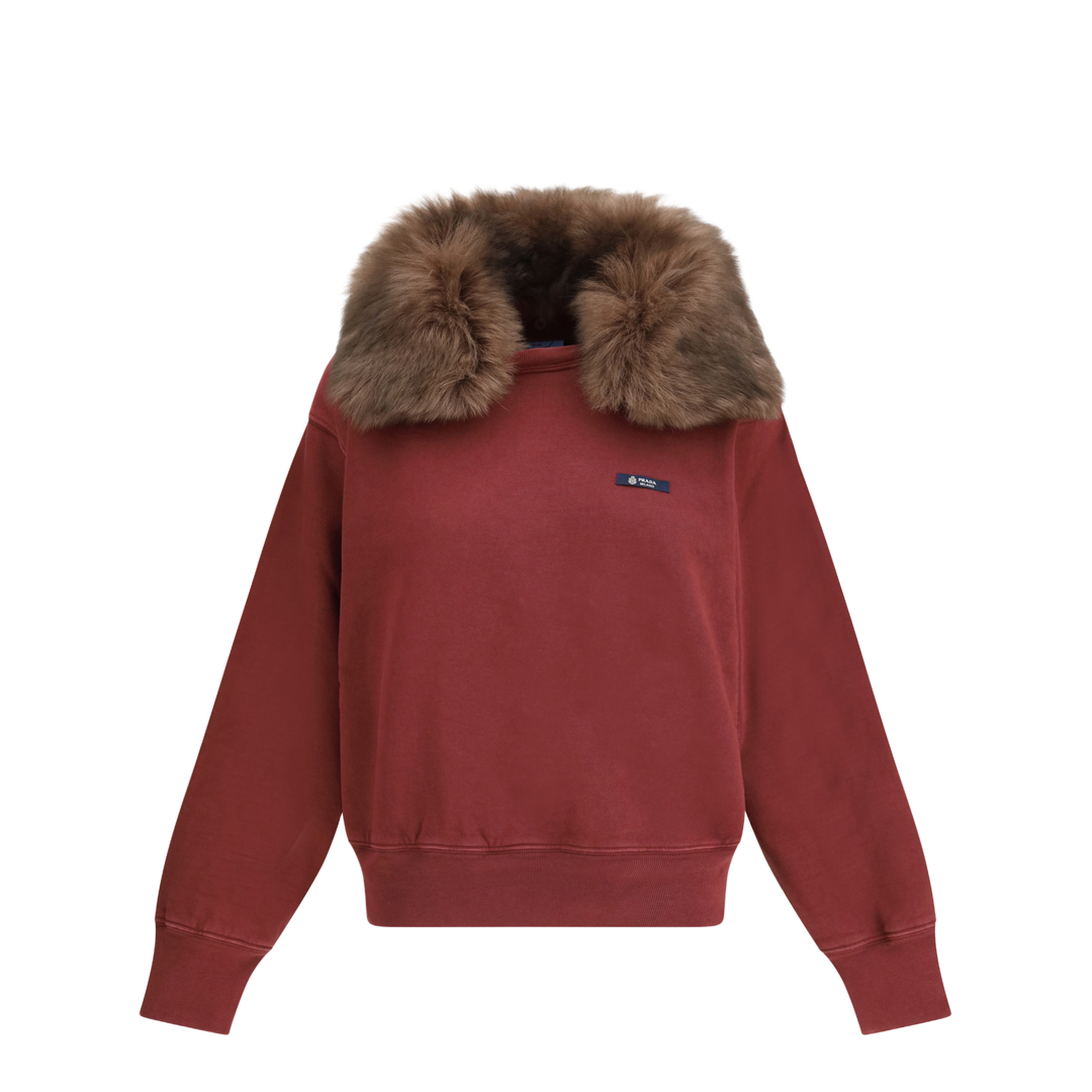 Sweatshirt with a Shearling Collar - Image 1