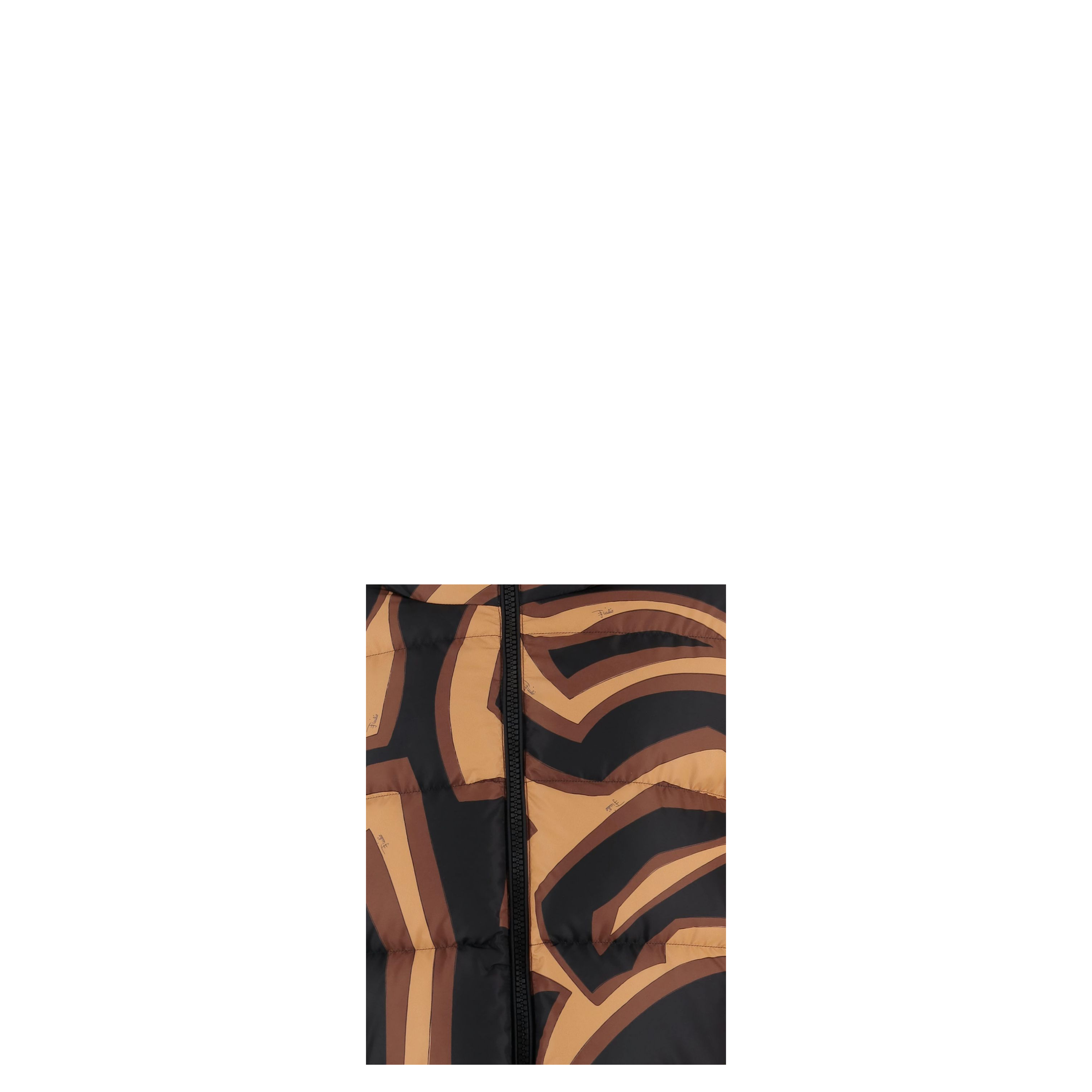 Printed Nylon Down Jacket In Brown - Image 3