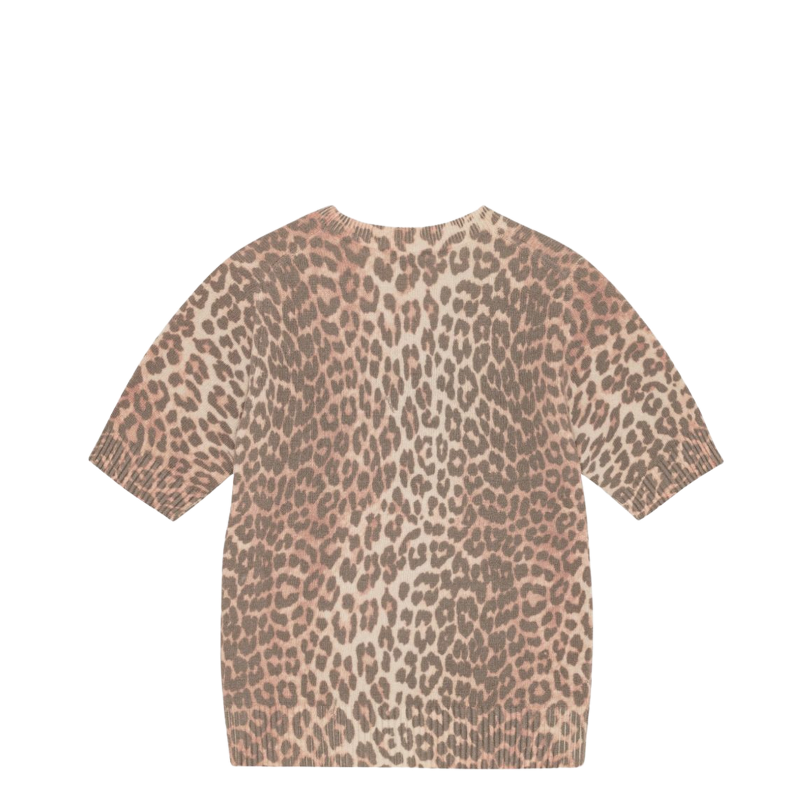 Beige Crew Neck Short Sleeves Leopard Print Ribbed Trim - Image 6