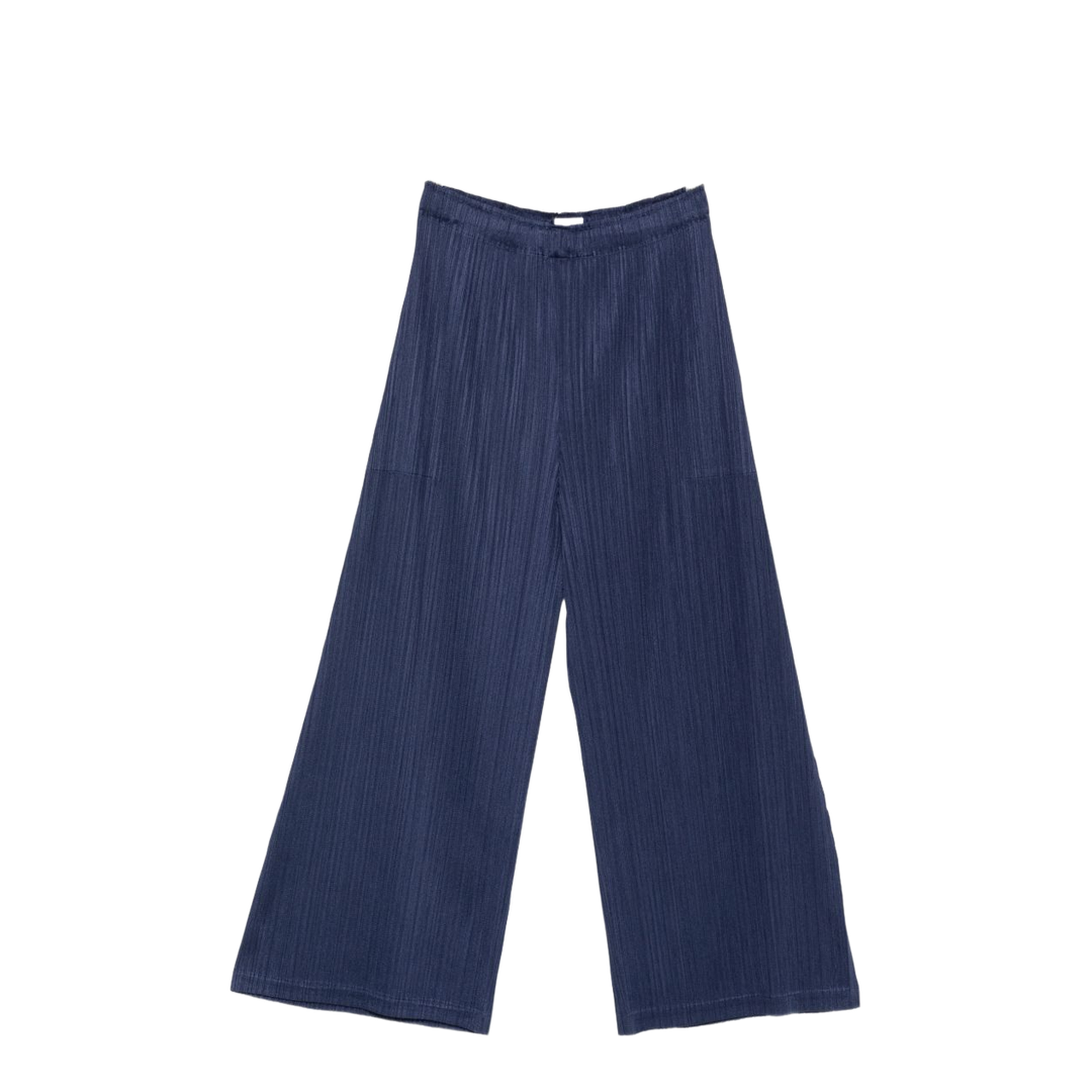 Pleated Pants - Image 1