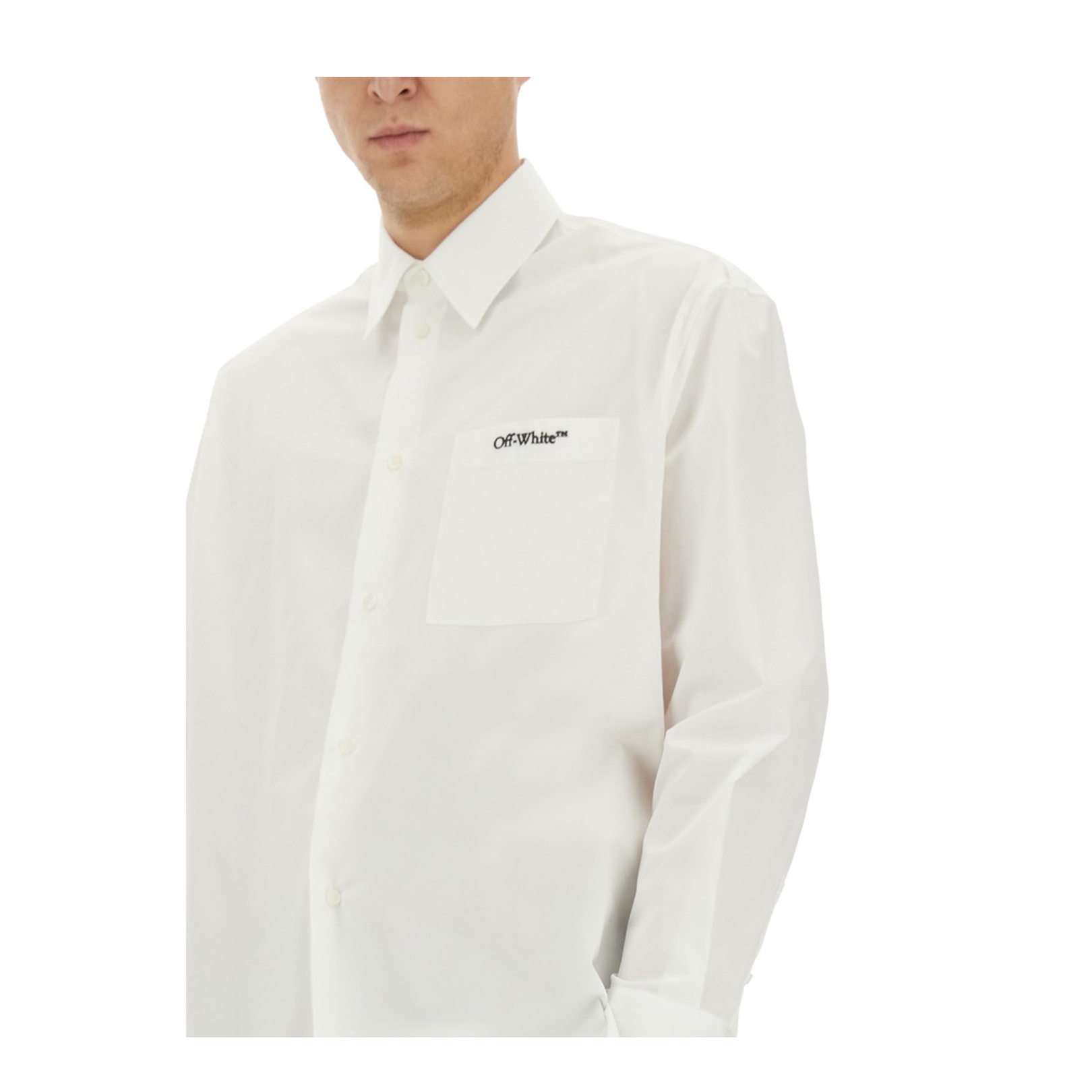 Dpp - Image 2