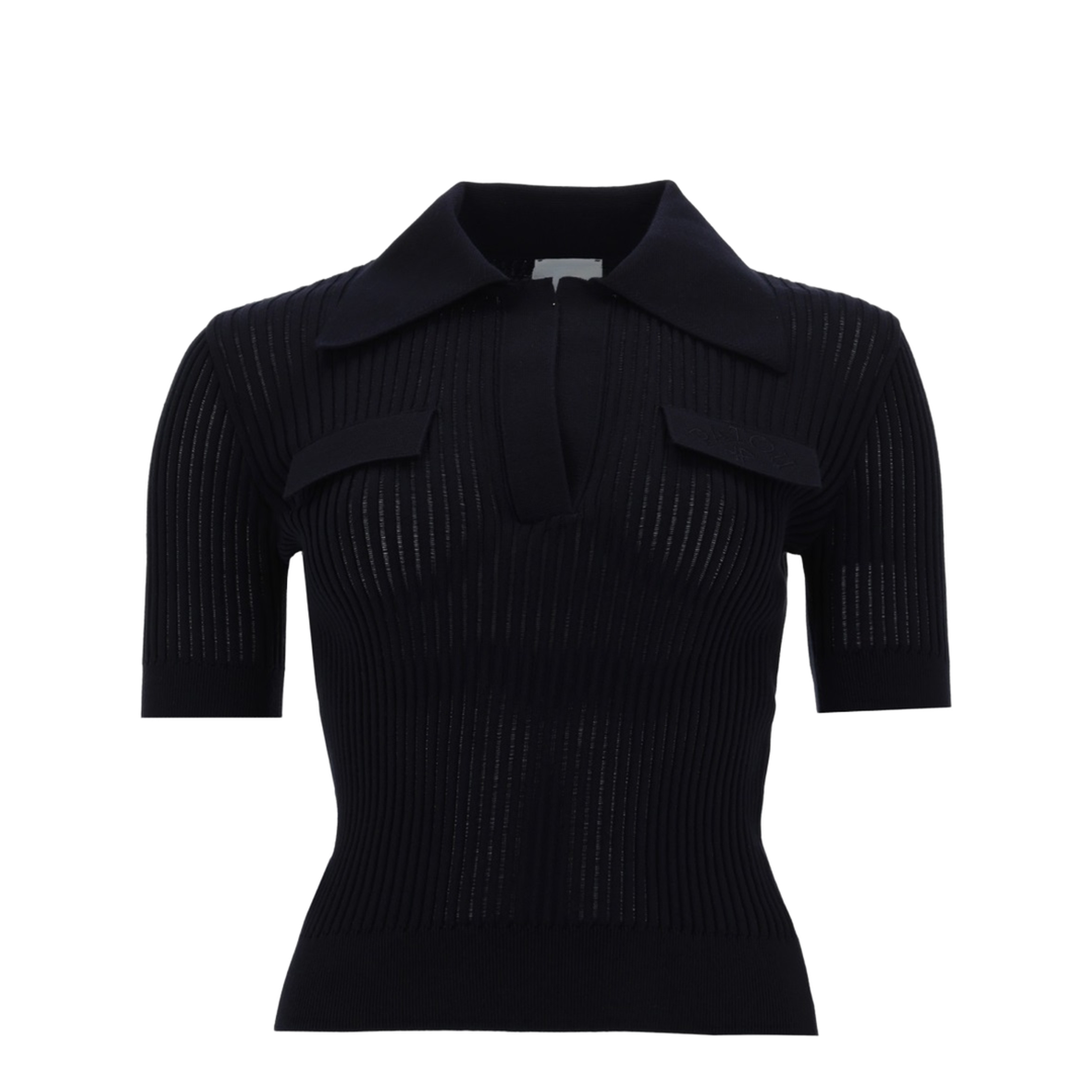 Embroidered Cotton Polo Shirt - Image 1