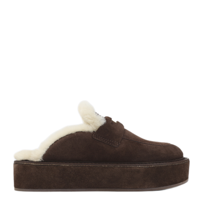 SABOT - Image 3