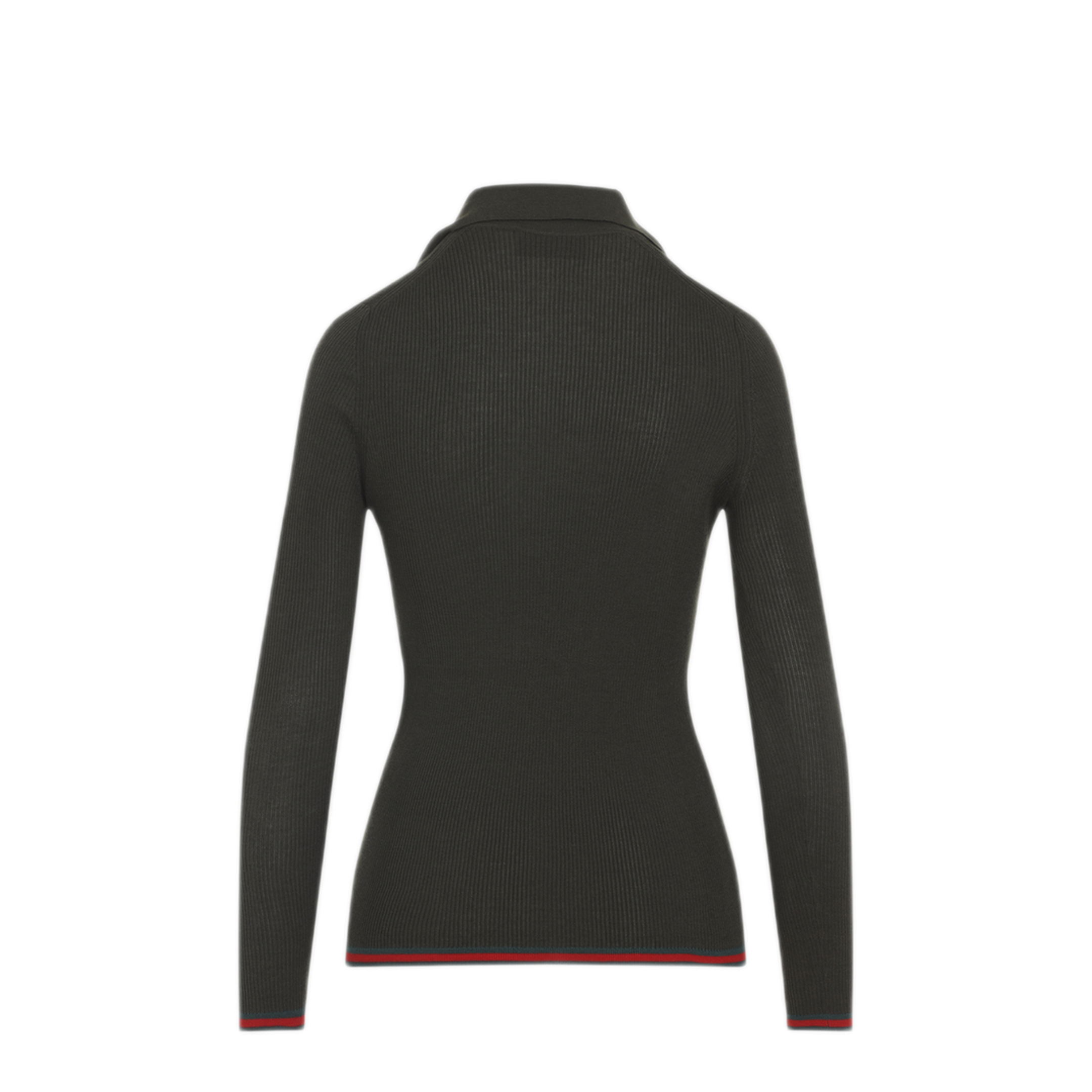 Web Polo - Image 4
