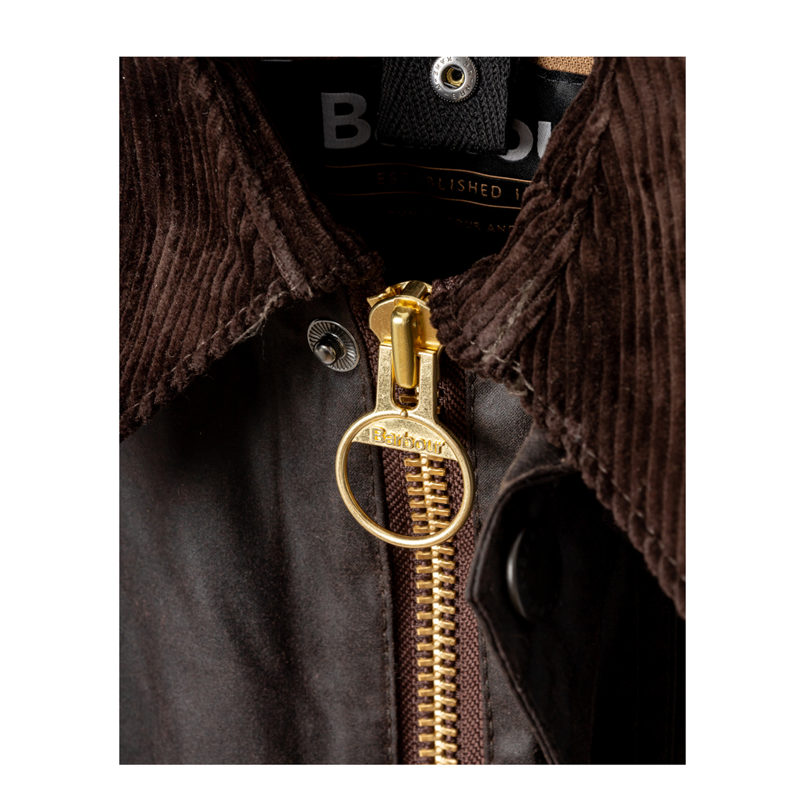 Jackets Brown - Image 4