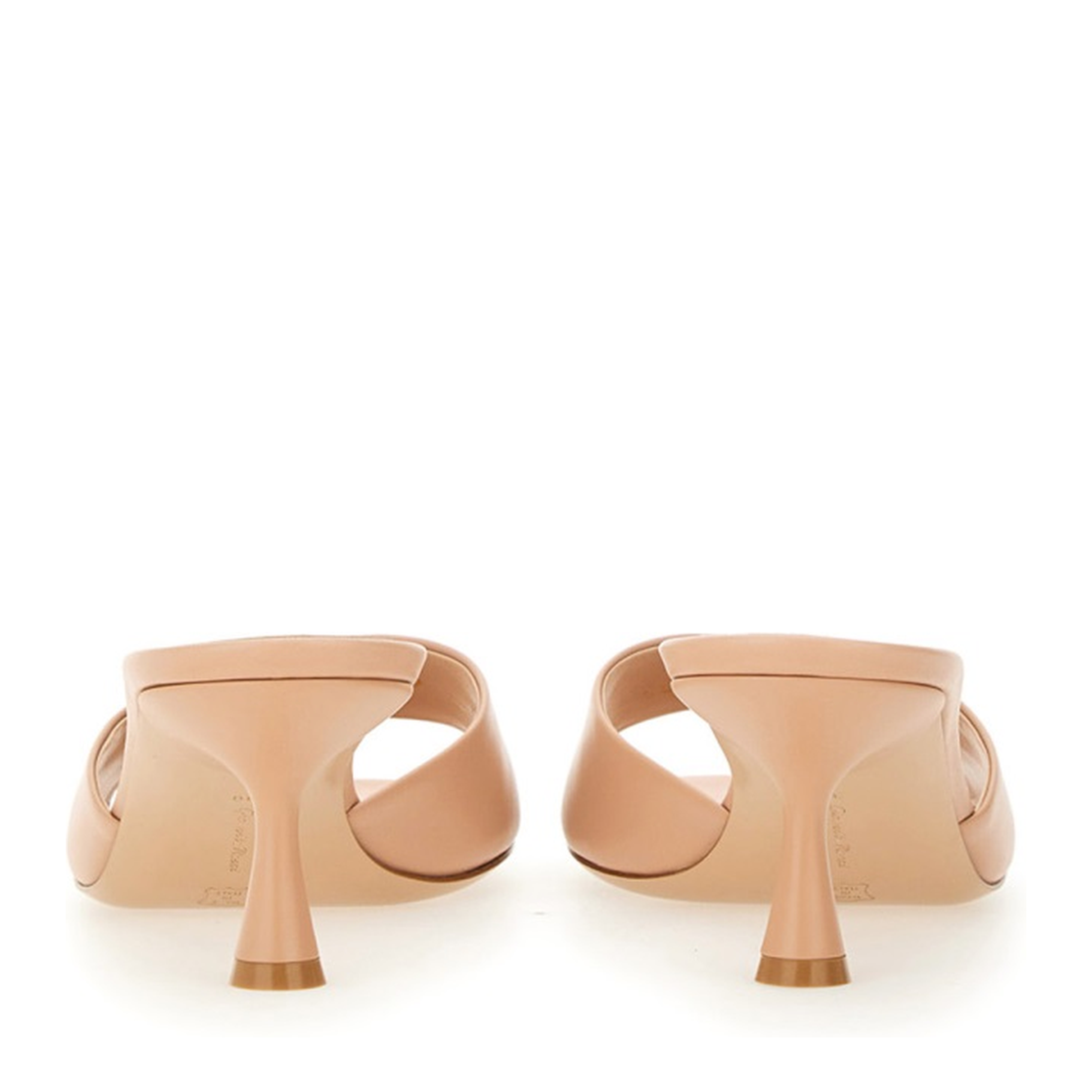 Ascent Mule - Image 5