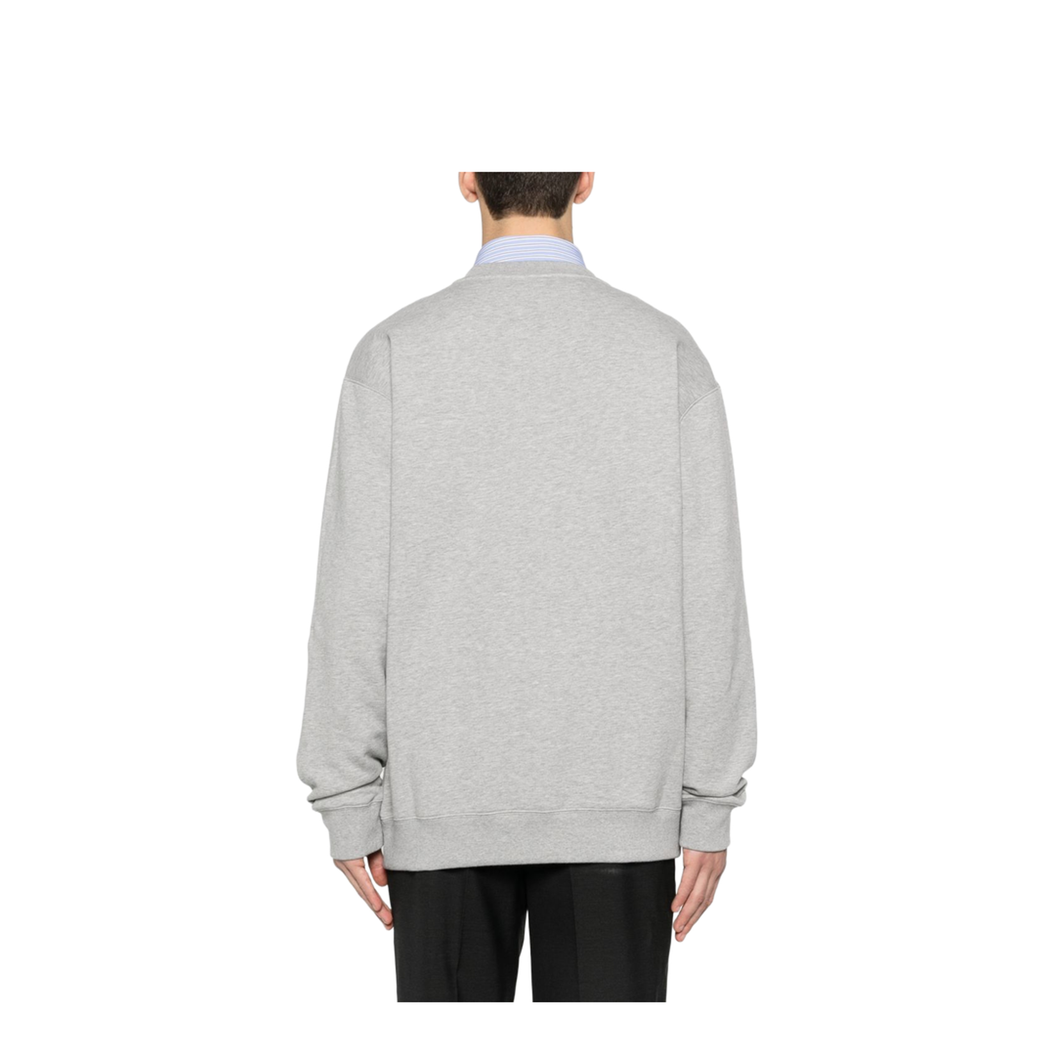 FELPE - Image 3