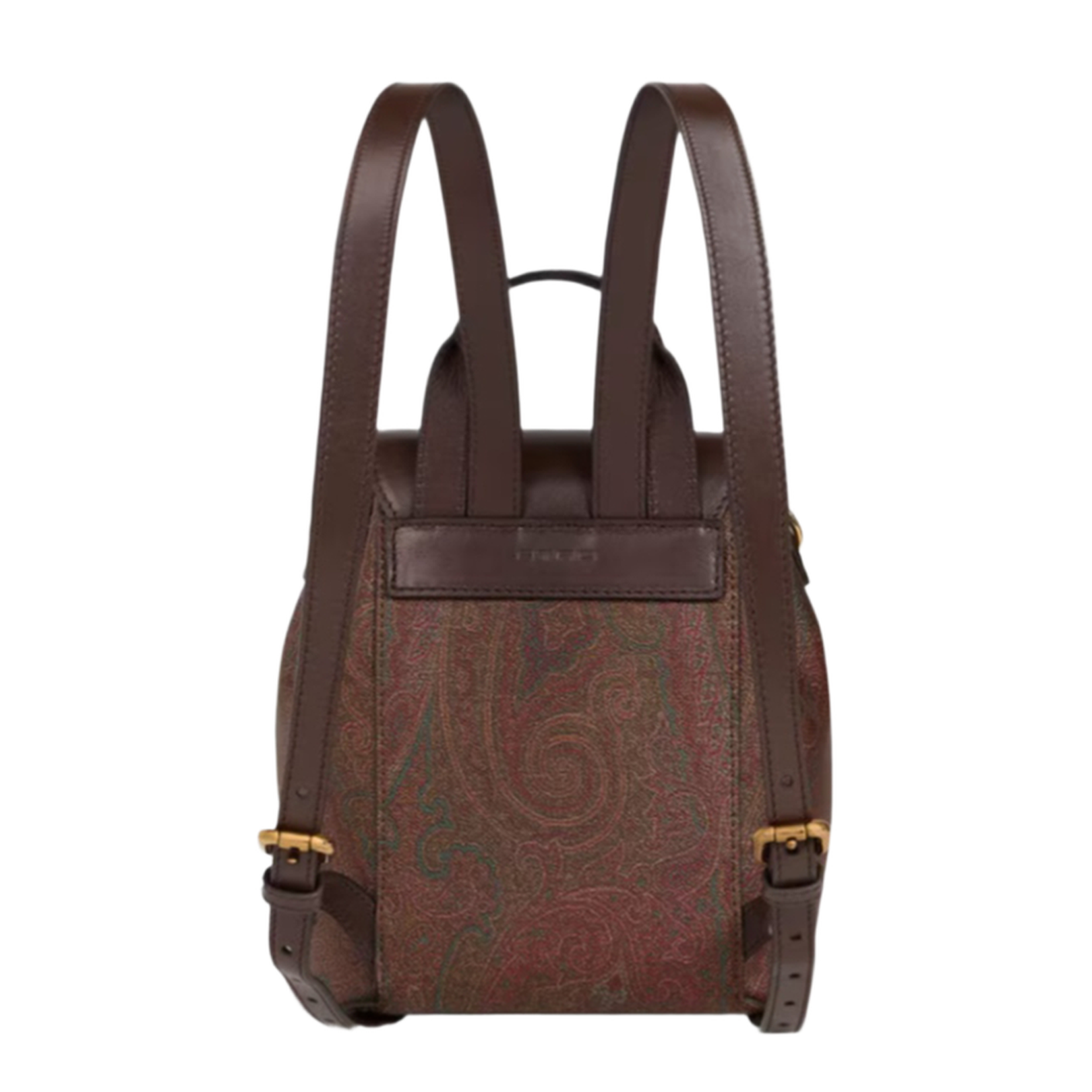 Arnica Paisley Small Backpack - Brown - Image 4