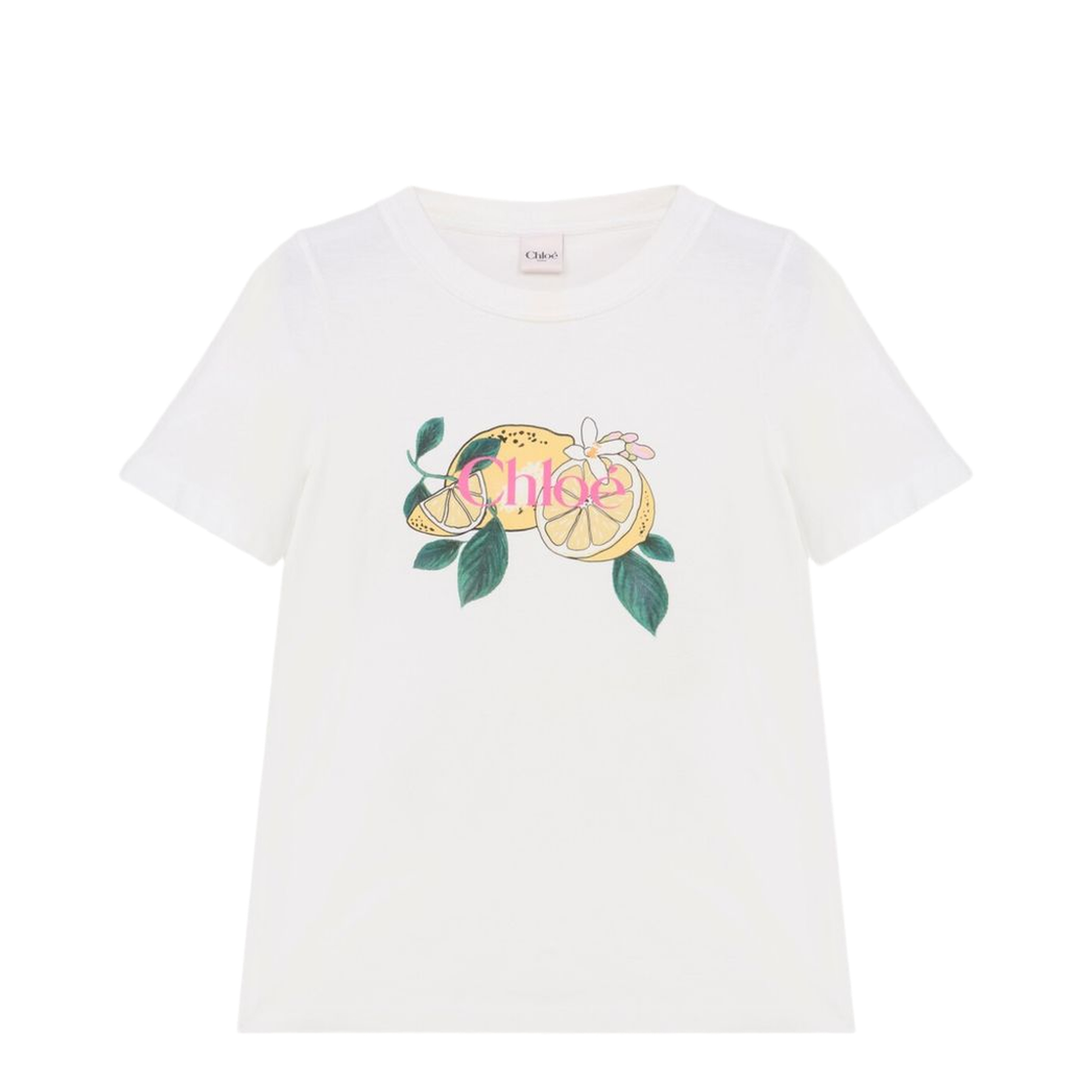 T-shirts and Polos - Image 1