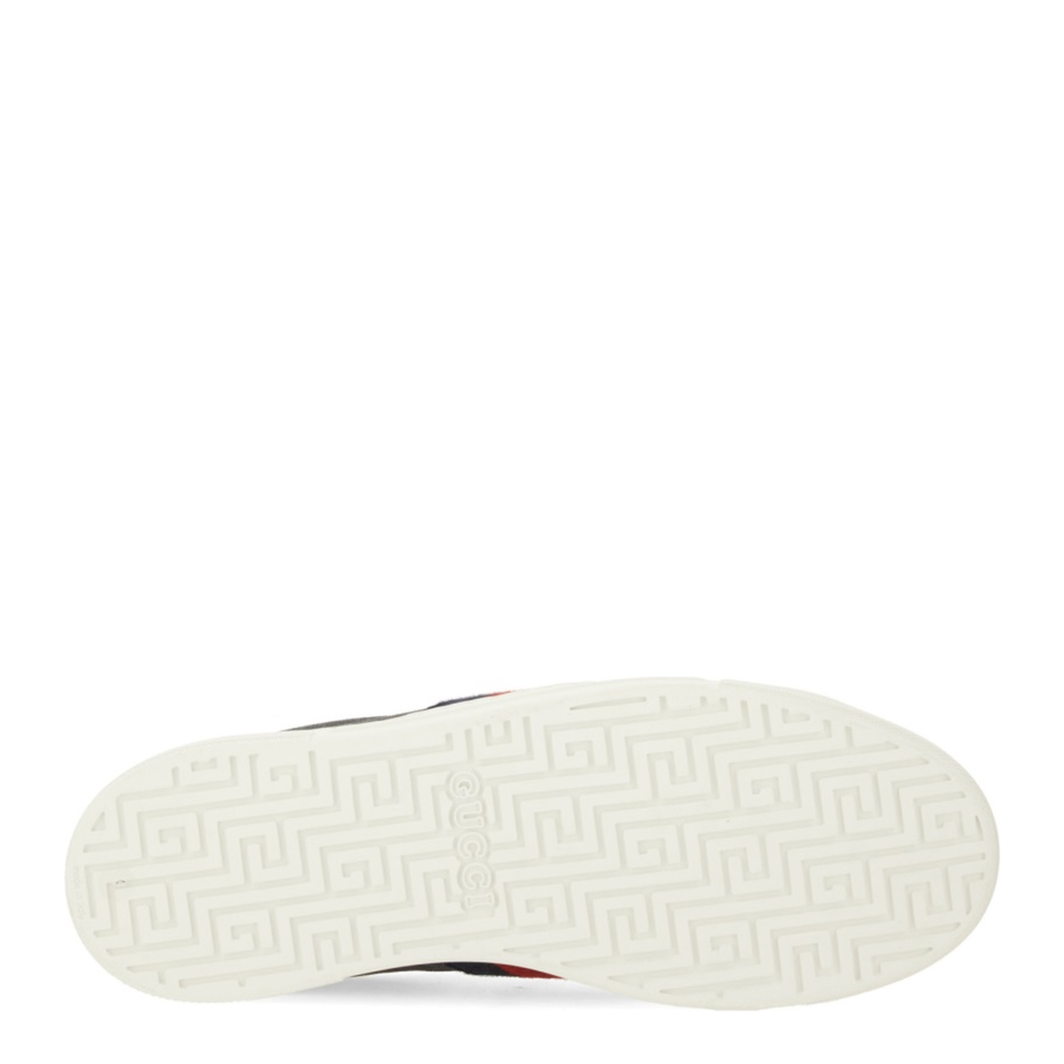 Ace Trainer with Web - Image 5