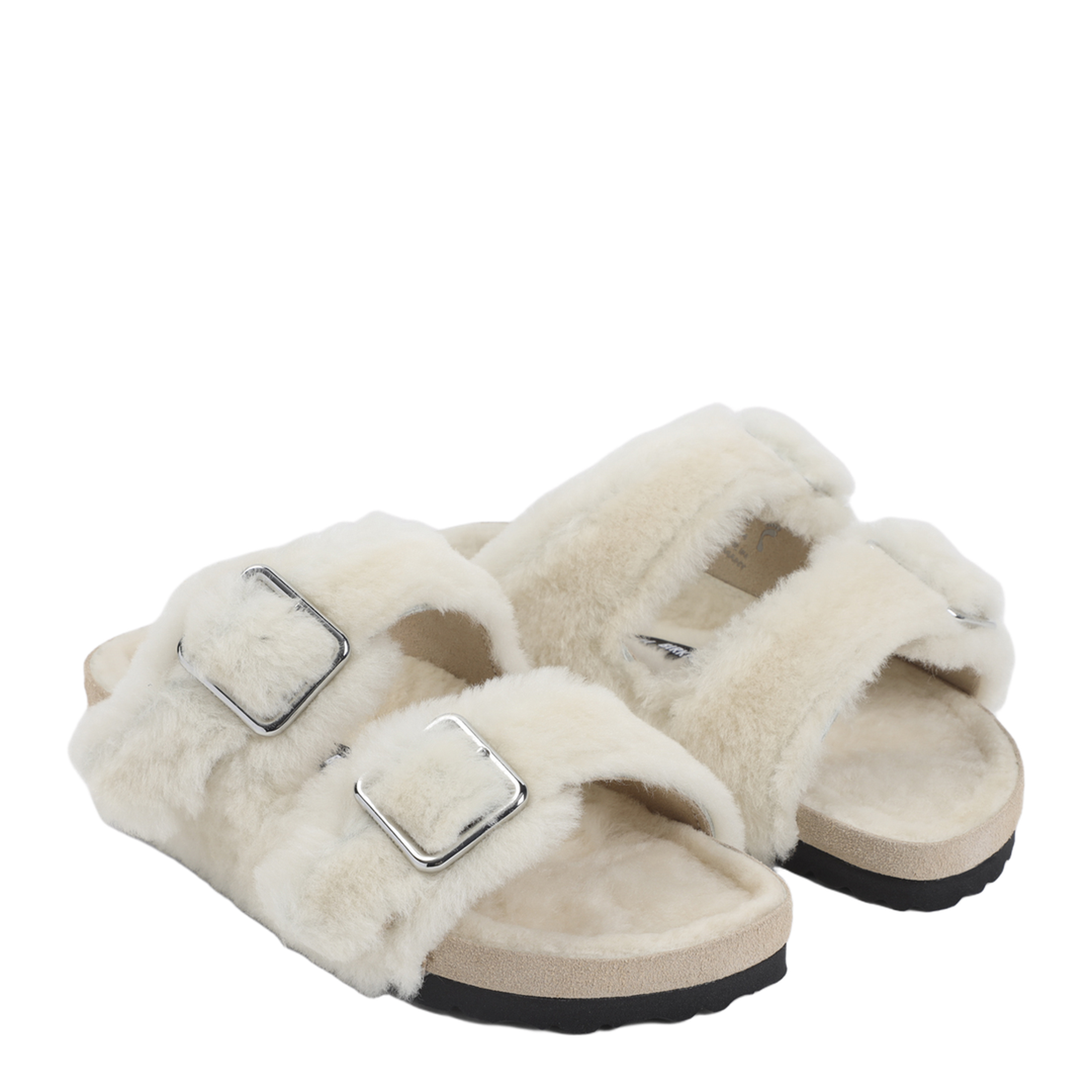 Arizona Mules - Image 5