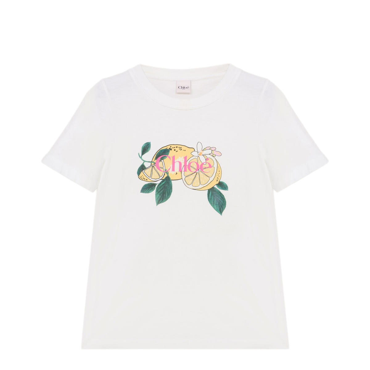T-shirts and Polos - Image 1