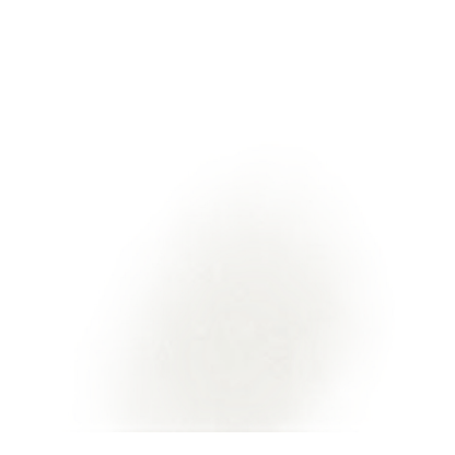 Shirts White - Image 2