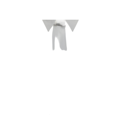Shirt With Monili Embellishment - Image 3