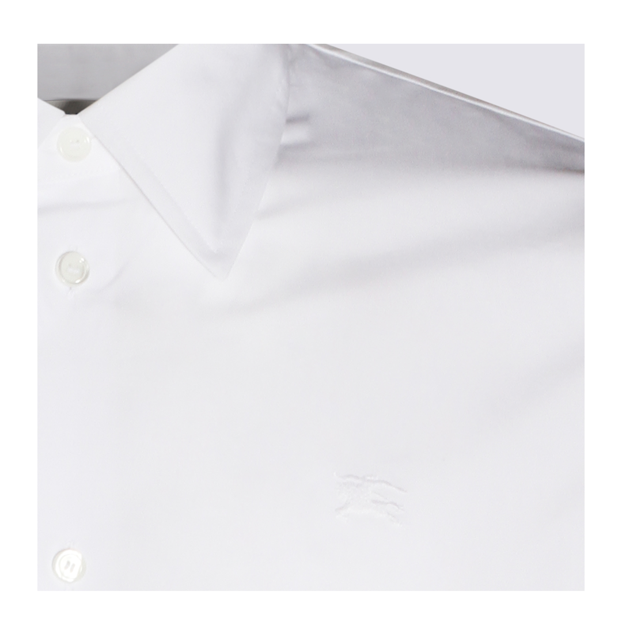 Organic Cotton Shirt - Image 7