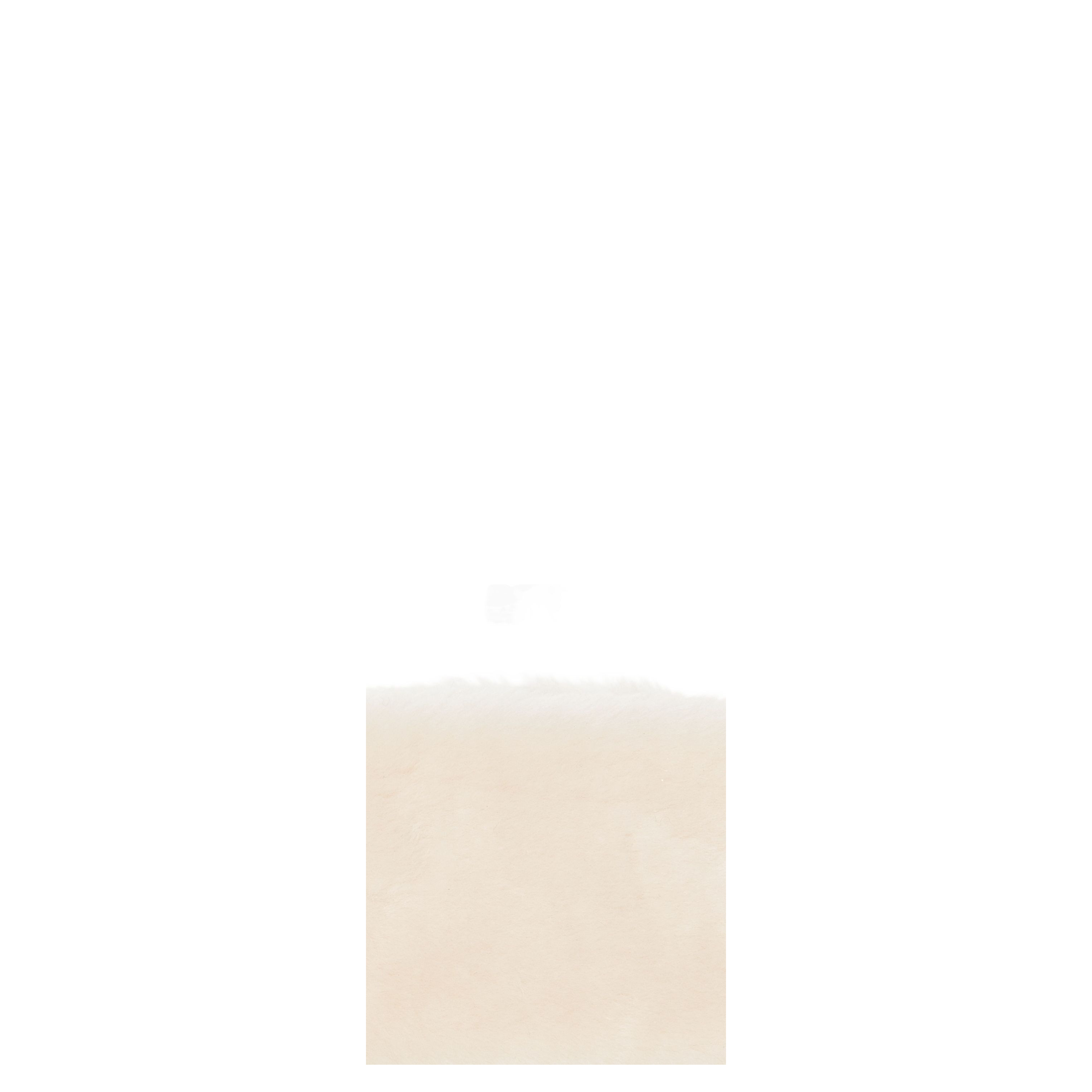 Accessories Beige - Image 2