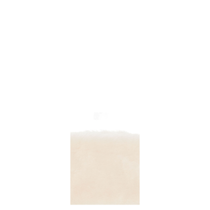 Accessories Beige - Image 2