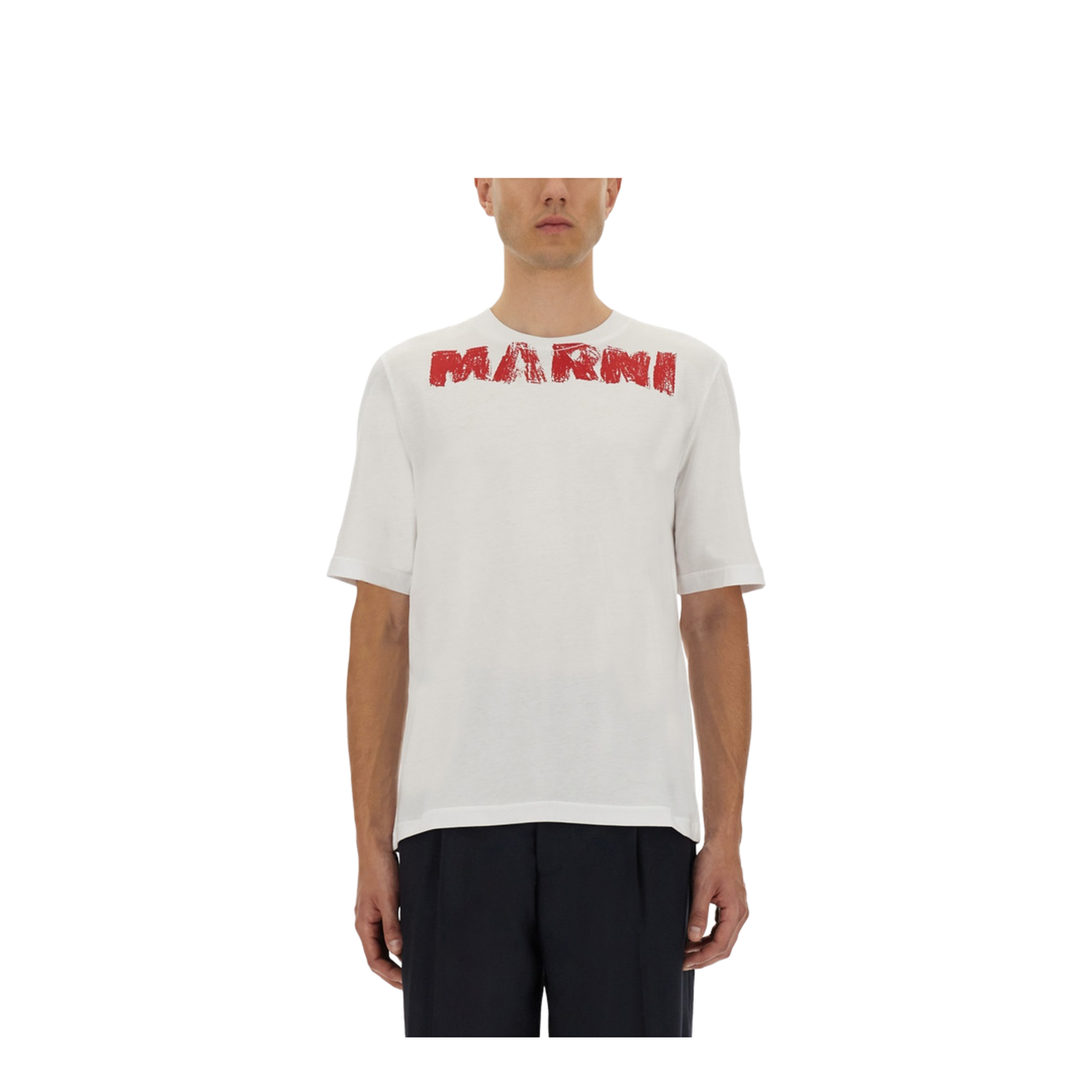 Cotton T-Shirt with Maxi Print - Image 1