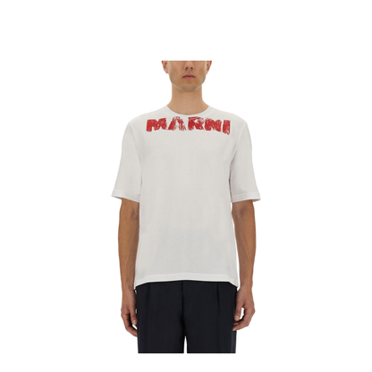 Cotton T-Shirt with Maxi Print - Image 1