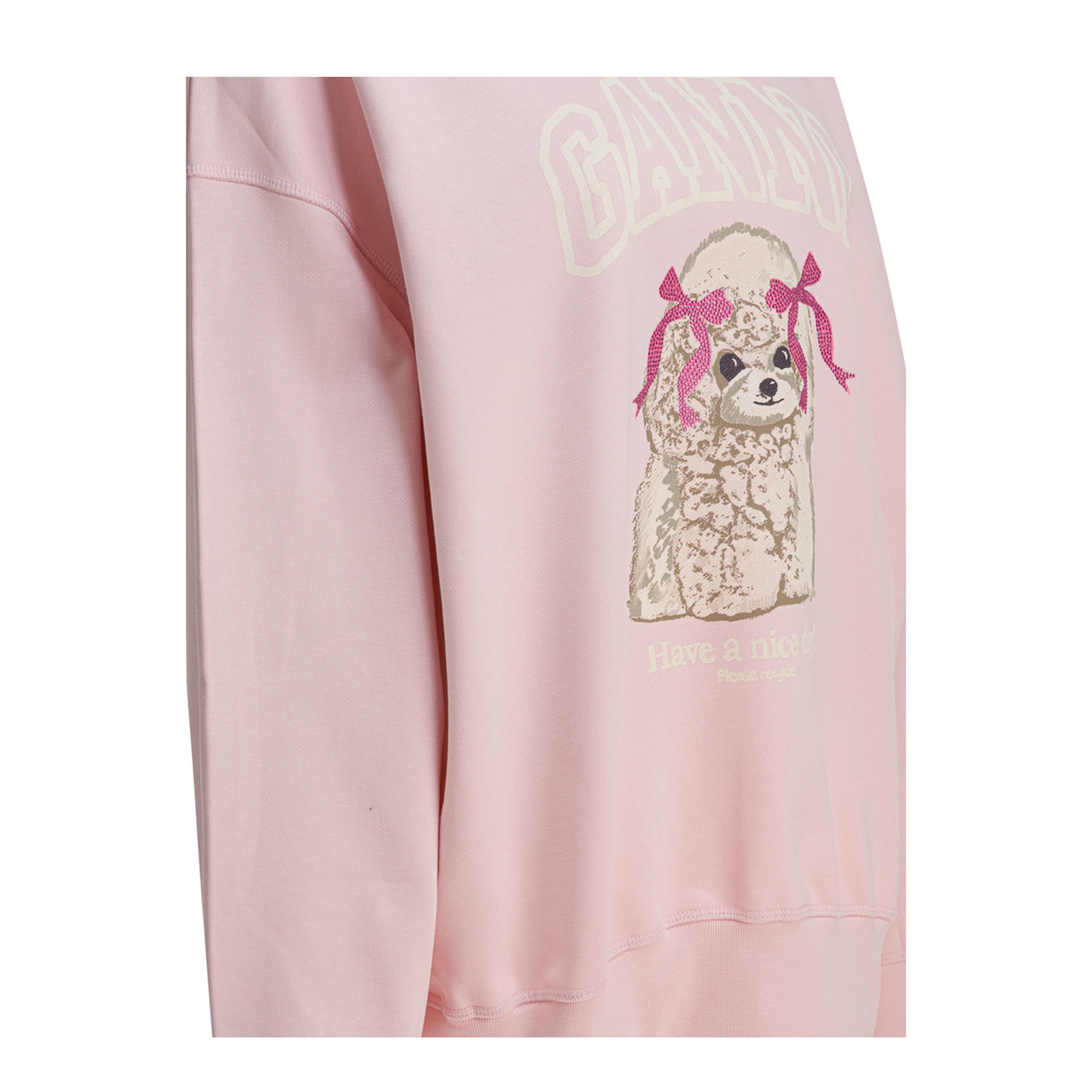 Poodle Sweatshirt - Image 4