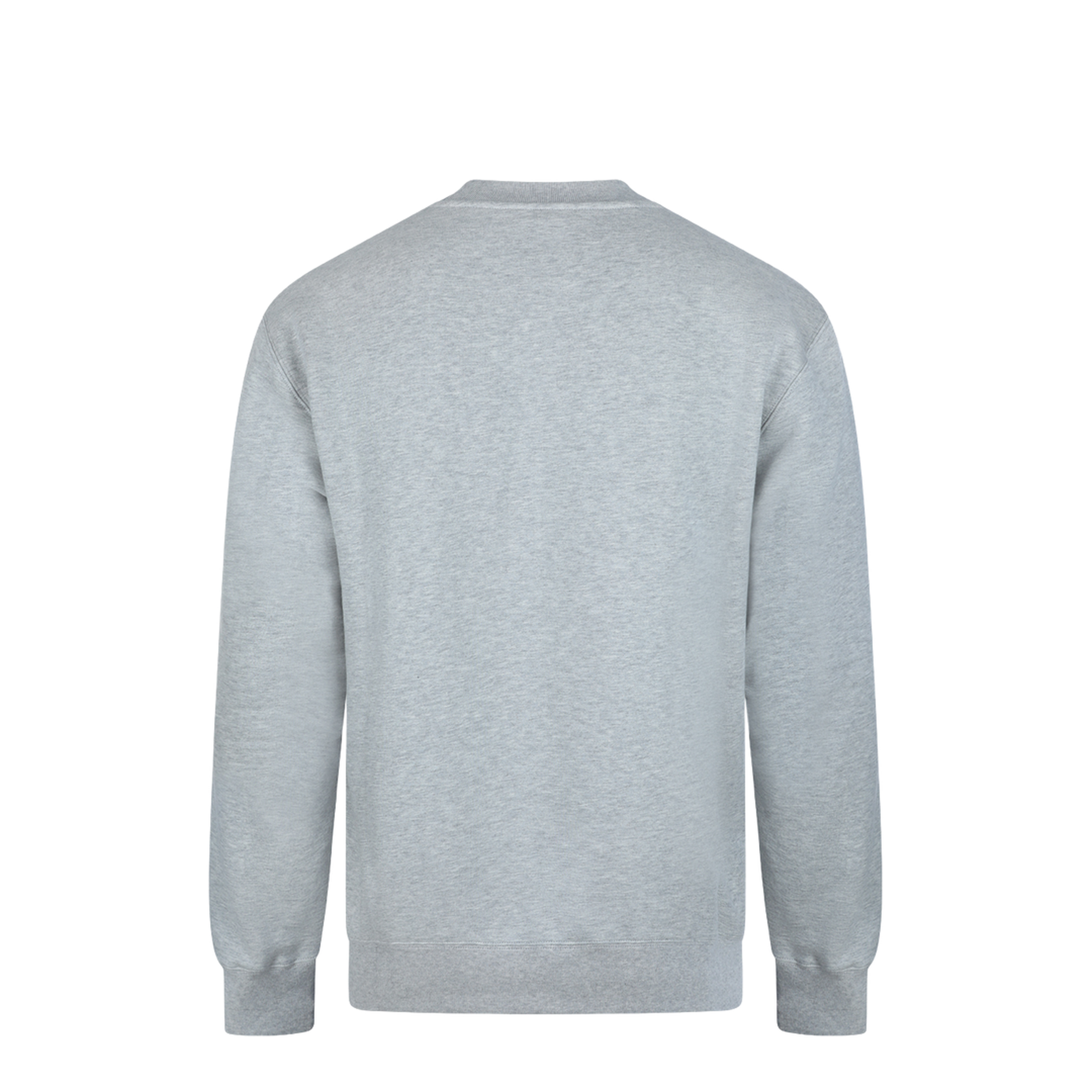 FELPE - Image 4