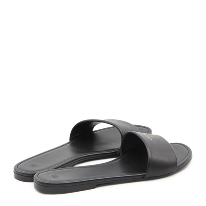 Coast Mule - Image 3