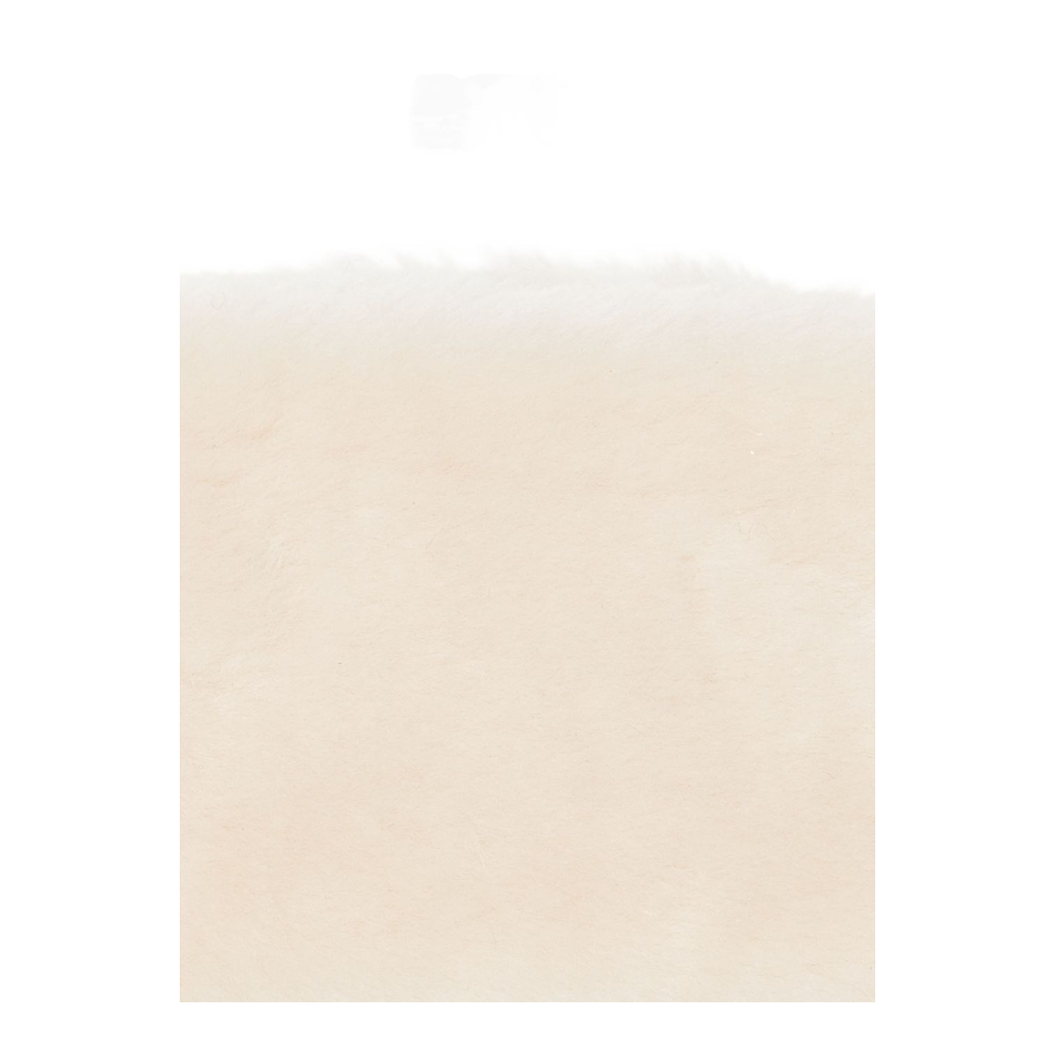 Accessories Beige - Image 2