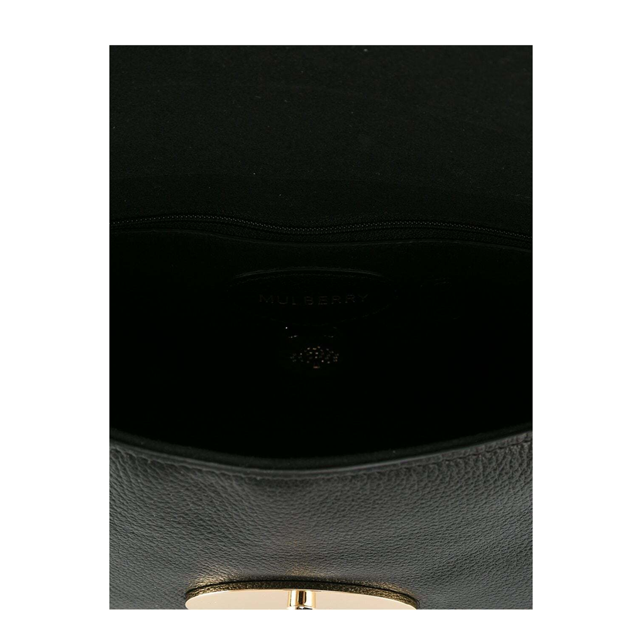 Toned Glossy Goat Leather Bag - Image 4