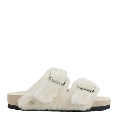 Arizona Mules - Image 1