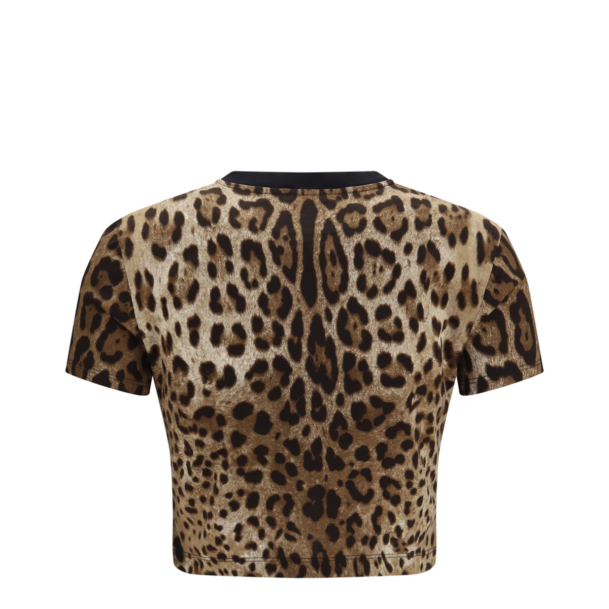 Leopard Print Cropped T Shirt - Image 2