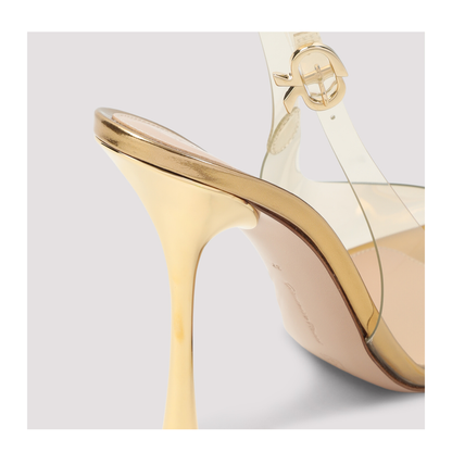 Plexi Pump - Image 6