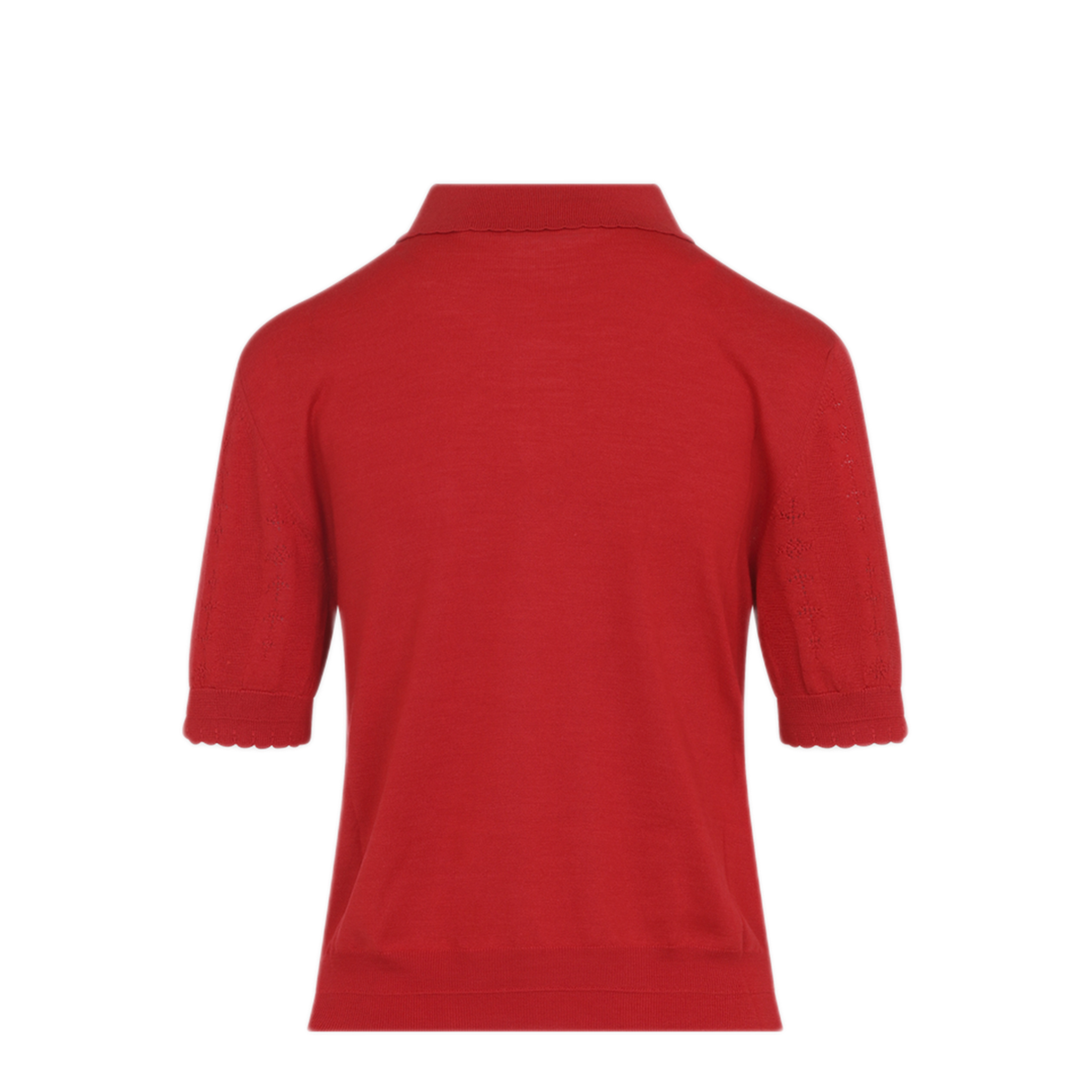 Polo - Image 4