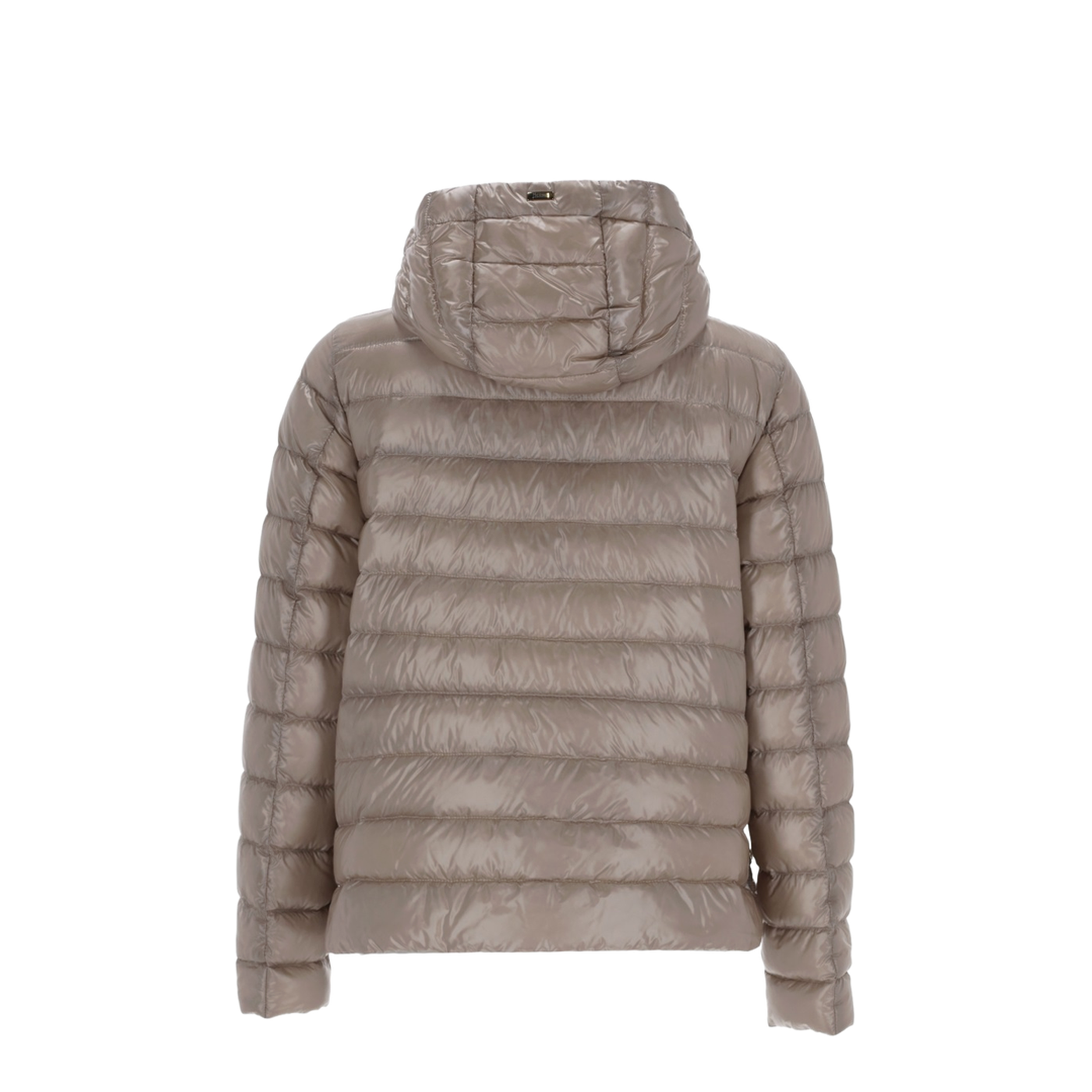 Down Jacket with Hood - Image 3