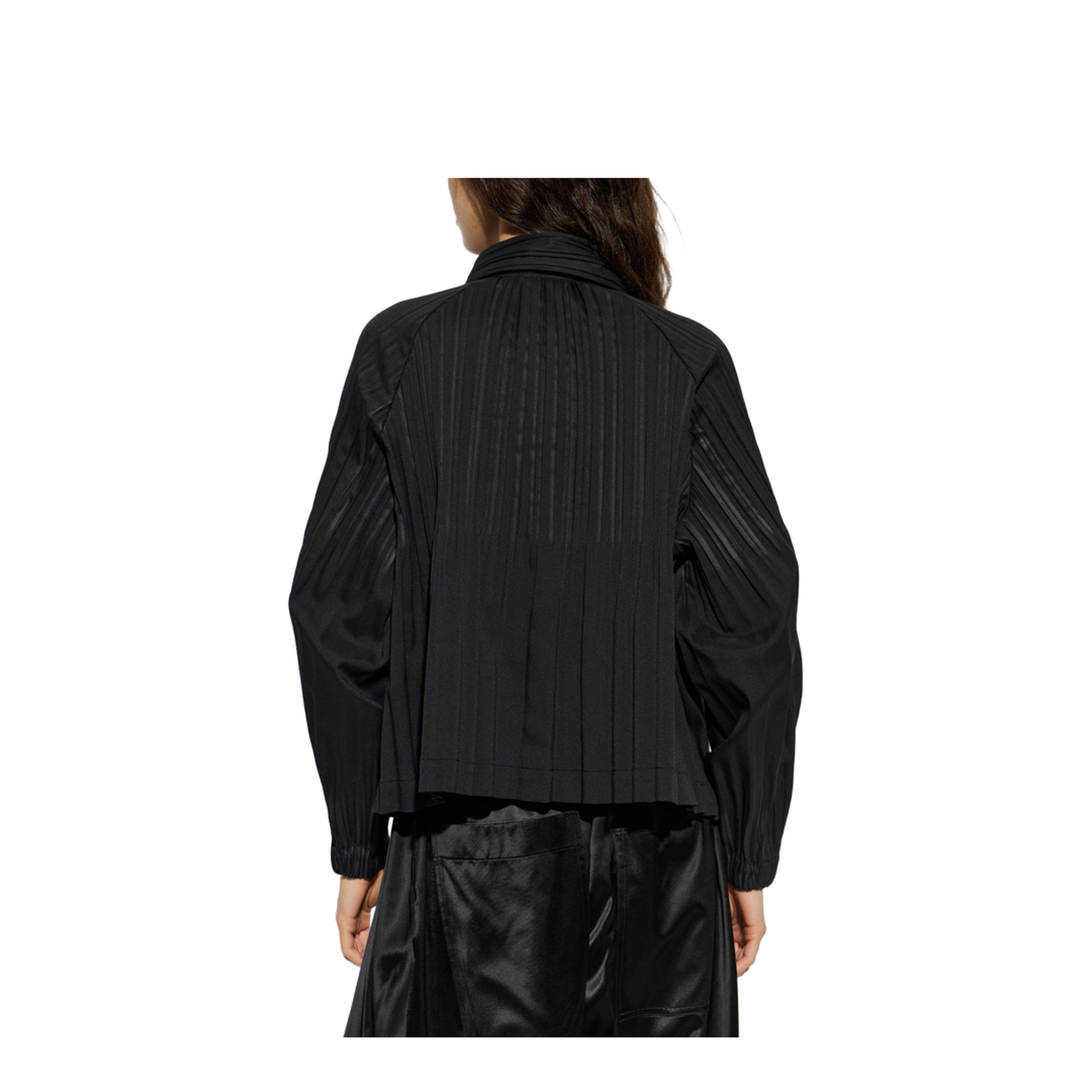 Smooth Coat - Image 5