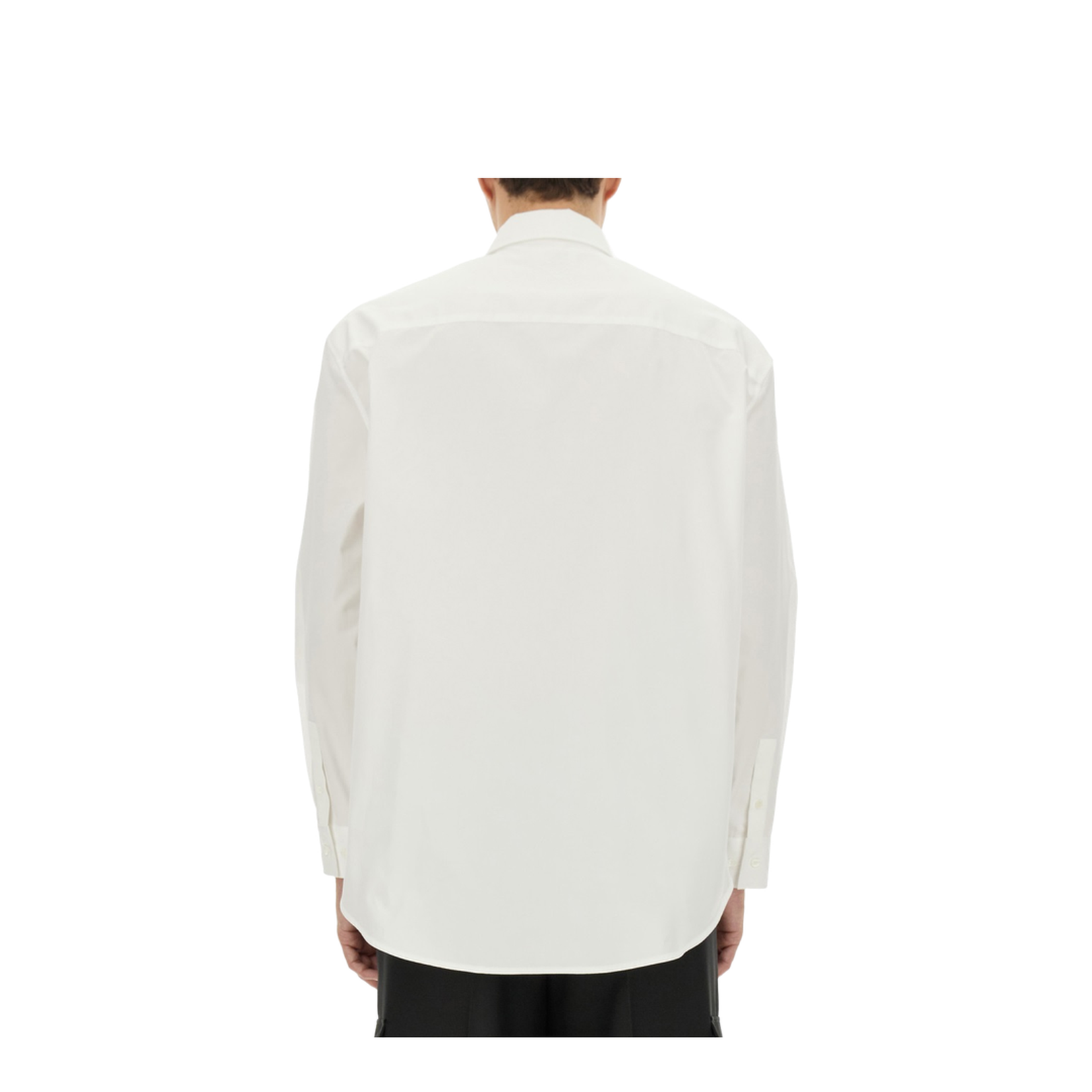 Dpp - Image 4