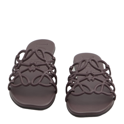 Anagram Petal Slides - Image 5