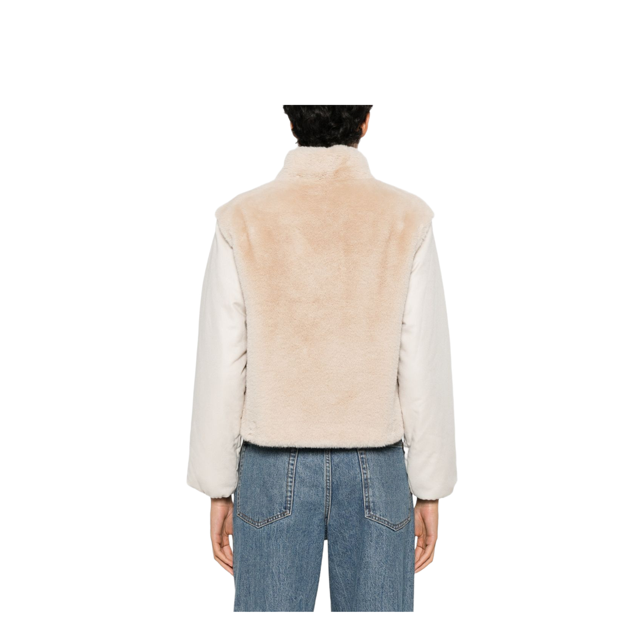 Powder Coats - Image 4