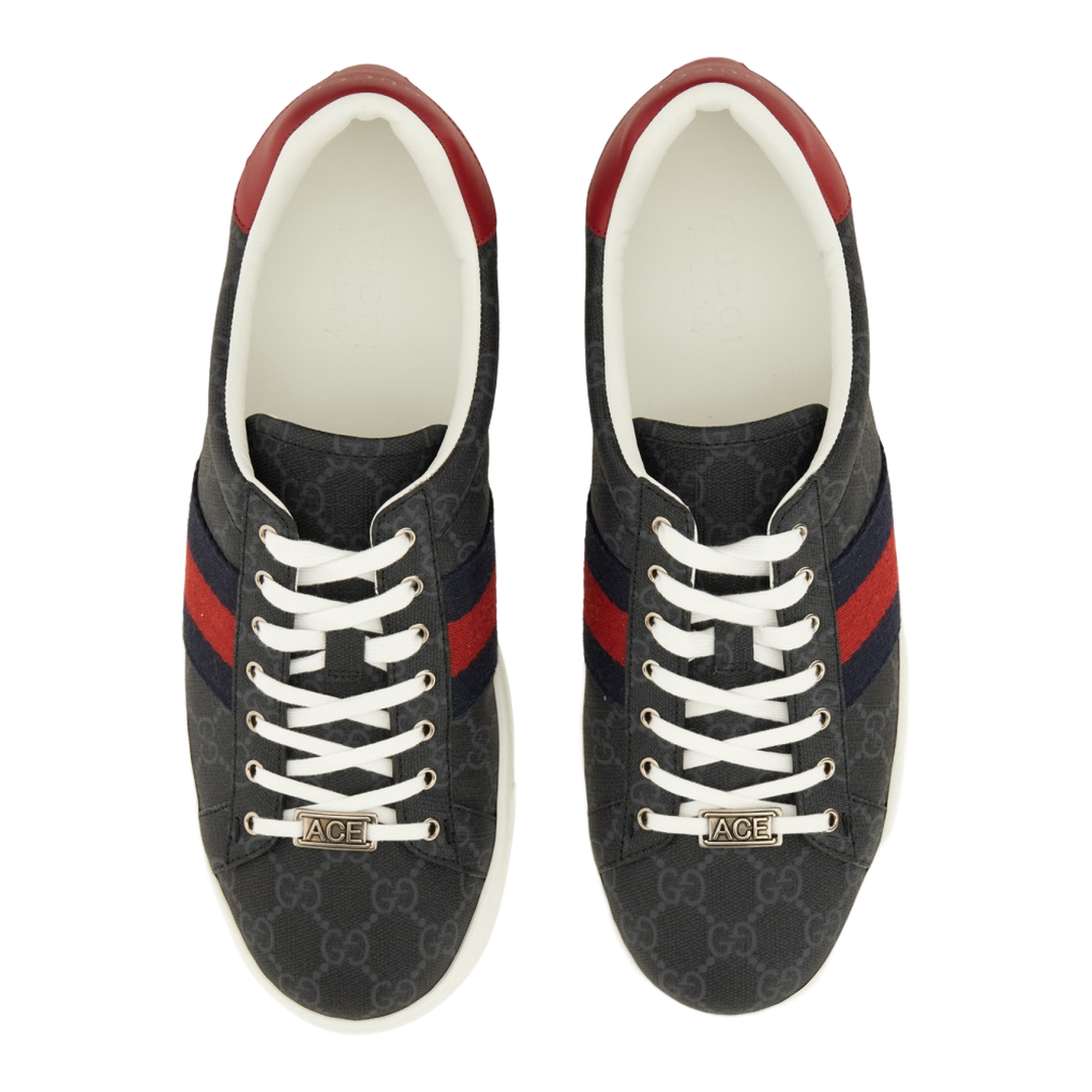 Ace Trainer with Web - Image 6